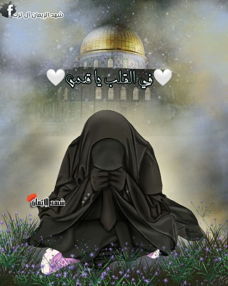 عصمت إيهاب